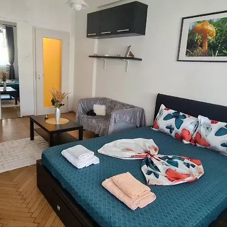 Piata Romana Zone Apartament *