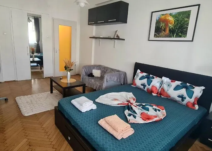 Piata Romana Zone Apartman *